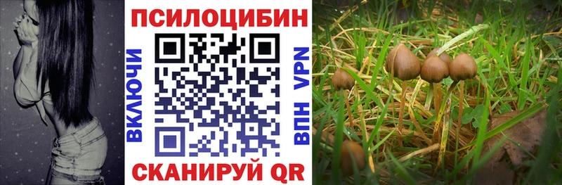 Купить где  Мценск  Псилоцибиновые грибы прущие грибы 